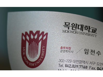 메탈릭 스노우메탈 300